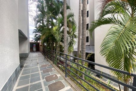 Apartamento à venda com 3 quartos, 67m² em Santa Branca, Belo Horizonte