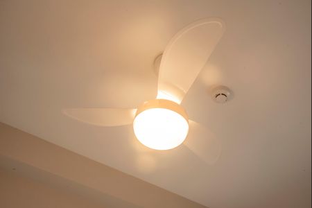 Apartamento para alugar com 40m², 1 quarto e sem vagaSuíte