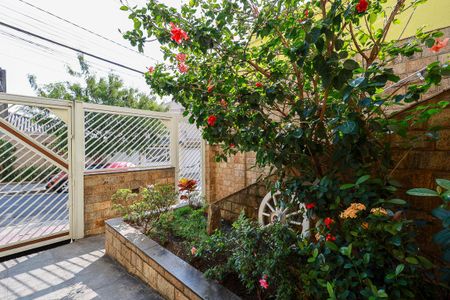 Casa para alugar com 242m², 3 quartos e 3 vagasJardim e entrada