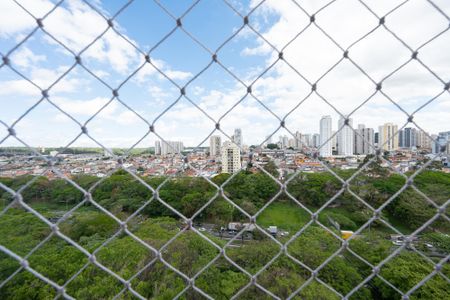 Vista do Quarto 1 de apartamento para alugar com 2 quartos, 50m² em Vila Monte Alegre, São Paulo