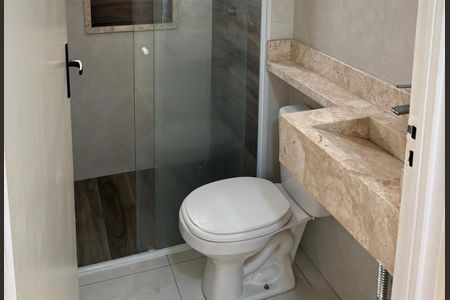 Banheiro  de apartamento para alugar com 2 quartos, 47m² em Vila Abaete, Campinas