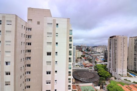 Apartamento para alugar com 3 quartos, 61m² em Baeta Neves, São Bernardo do Campo