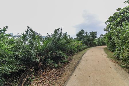 Apartamento à venda com 192m², 4 quartos e 3 vagas Apartamento à venda com 192m², 4 quartos e 3 vagasBosque