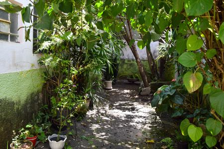 Casa à venda com 300m², 2 quartos e 2 vagasQuintal