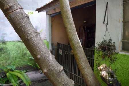 Casa à venda com 300m², 2 quartos e 2 vagasQuintal