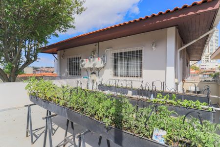 Casa à venda com 250m², 3 quartos e 3 vagas Casa à venda com 250m², 3 quartos e 3 vagasHorta