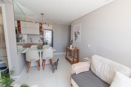 Sala de apartamento para alugar com 2 quartos, 41m² em Cambuci, São Paulo