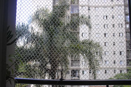 Apartamento para alugar com 50m², 2 quartos e 1 vagaVaranda