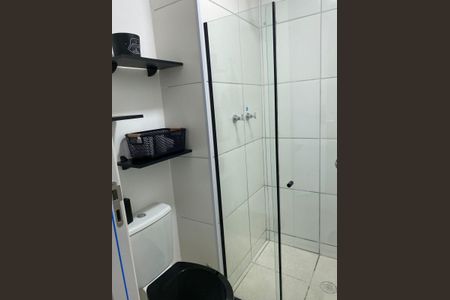 Banheiro de apartamento para alugar com 2 quartos, 43m² em Santo Cristo, Rio de Janeiro