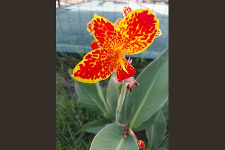 Apartamento à venda com 48m², 2 quartos e 1 vagajardins