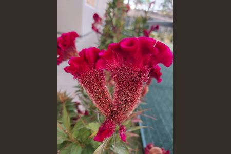 Apartamento à venda com 48m², 2 quartos e 1 vagajardins