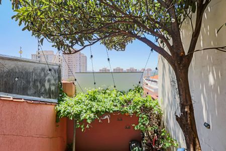 Casa à venda com 200m², 3 quartos e 5 vagasCozinha - vista