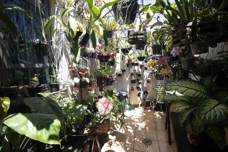 Casa à venda com 600m², 6 quartos e 10 vagasCorredor