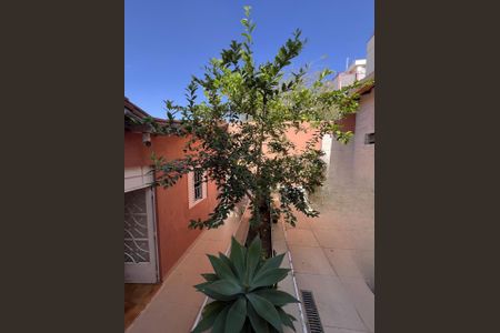 Casa à venda com 209m², 4 quartos e 2 vagas Casa à venda com 209m², 4 quartos e 2 vagasFoto 18