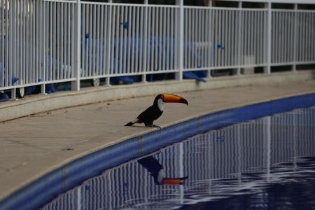 Apartamento à venda com 120m², 3 quartos e 2 vagasArea comum