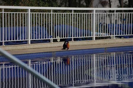 Apartamento à venda com 120m², 3 quartos e 2 vagasArea comum