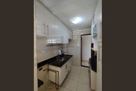 Cozinha - Armários de apartamento para alugar com 2 quartos, 54m² em Jardim Patente, São Paulo
