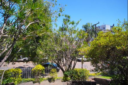 Sala de Estar - Vista de casa para alugar com 4 quartos, 650m² em Boa Vista, Porto Alegre