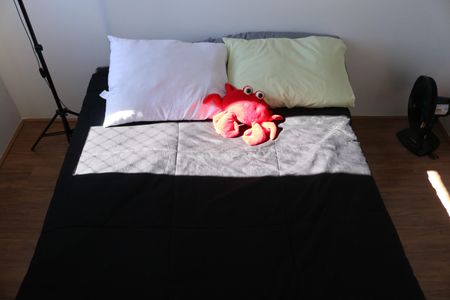 Quarto 2 de apartamento para alugar com 2 quartos, 36m² em Parque Industrial Tomas Edson, São Paulo