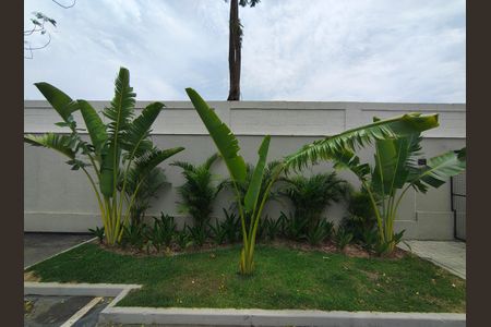 Apartamento para alugar com 43m², 2 quartos e 1 vaga Apartamento para alugar com 43m², 2 quartos e 1 vagaÁrea comum