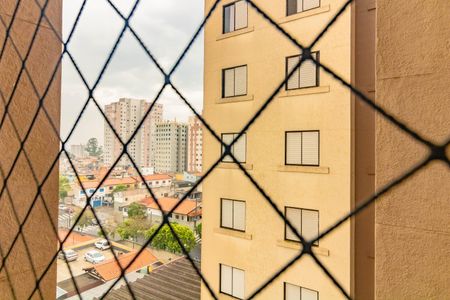 Apartamento para alugar com 2 quartos, 55m² em Vila Santa Catarina, São Paulo