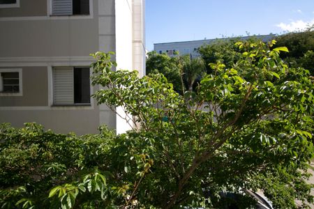 Apartamento para alugar com 43m², 2 quartos e sem vaga Apartamento para alugar com 43m², 2 quartos e sem vagaVista do Quarto 1