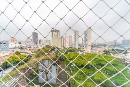 Apartamento à venda com 85m², 3 quartos e 2 vagasVista da Suíte