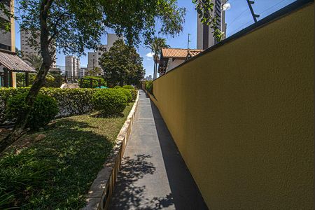 Apartamento à venda com 95m², 3 quartos e 2 vagaspista de caminhada_2