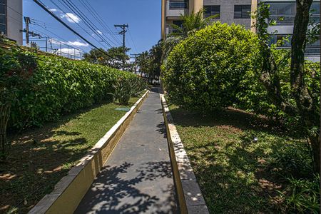 Apartamento à venda com 95m², 3 quartos e 2 vagaspista de caminhada_1