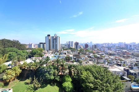 Apartamento para alugar com 55m², 1 quarto e 1 vagaSuíte  Vista 