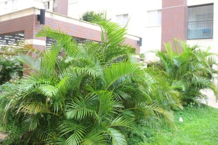 Apartamento à venda com 71m², 3 quartos e 2 vagasÁrea comum