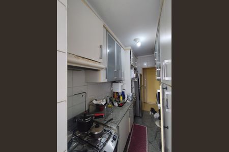 Apartamento à venda com 75m², 3 quartos e 2 vagas Apartamento à venda com 75m², 3 quartos e 2 vagasCozinha - Armários