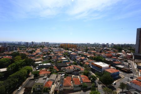 Apartamento para alugar com 34m², 2 quartos e sem vaga Apartamento para alugar com 34m², 2 quartos e sem vagaVista Varanda Sala/Cozinha