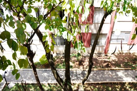 Apartamento para alugar com 60m², 2 quartos e 1 vagaDetalhe - Vista do Quarto 01