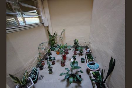 Apartamento à venda com 89m², 3 quartos e 1 vaga