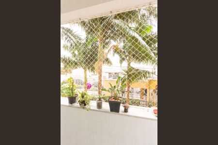 Sacada da Sala de apartamento à venda com 2 quartos, 55m² em Jardim Dom Vieira, Campinas