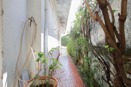 Casa à venda com 399m², 3 quartos e 2 vagasCorredor externo