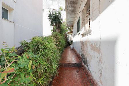 Casa à venda com 399m², 3 quartos e 2 vagasCorredor externo