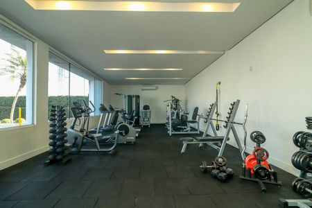 Apartamento para alugar com 80m², 2 quartos e 2 vagas Apartamento para alugar com 80m², 2 quartos e 2 vagasÁrea comum - Academia