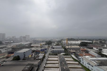 Vista do Quarto 1 de apartamento para alugar com 2 quartos, 46m² em Vila Itapegica, Guarulhos