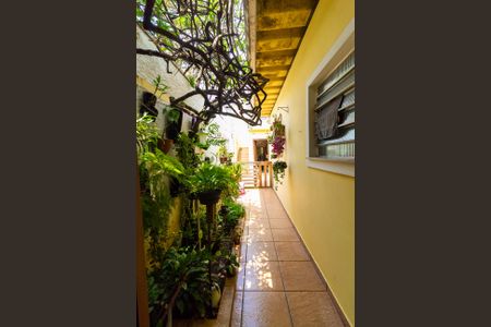 Casa à venda com 250m², 3 quartos e 4 vagas Casa à venda com 250m², 3 quartos e 4 vagasSala - Jardim