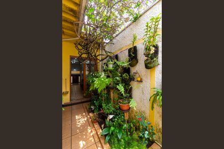 Casa à venda com 250m², 3 quartos e 4 vagas Casa à venda com 250m², 3 quartos e 4 vagasSala - Jardim