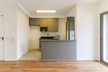 Sala de apartamento para alugar com 2 quartos, 54m² em Vila Sonia, São Paulo