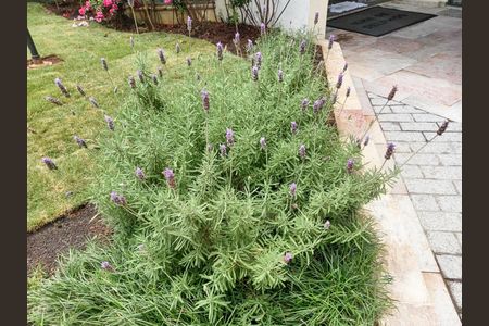 Apartamento à venda com 70m², 3 quartos e 1 vagaJardim