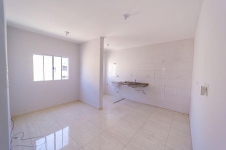 Sala de apartamento para alugar com 2 quartos, 50m² em Parque Boturussu, São Paulo