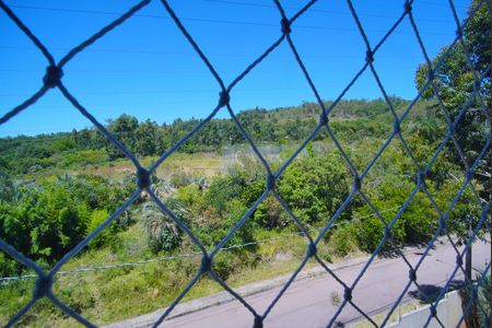 Quarto 2 - Vista de apartamento para alugar com 2 quartos, 45m² em Morro Santana, Porto Alegre
