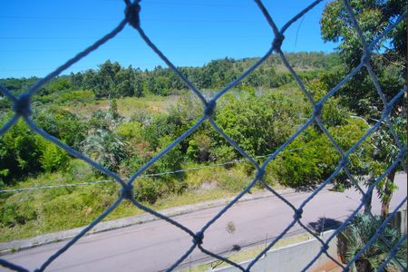 Vista do Quarto 1 de apartamento para alugar com 2 quartos, 45m² em Morro Santana, Porto Alegre