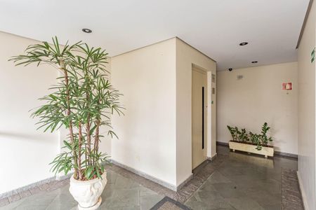 Apartamento à venda com 64m², 2 quartos e 2 vagasHall