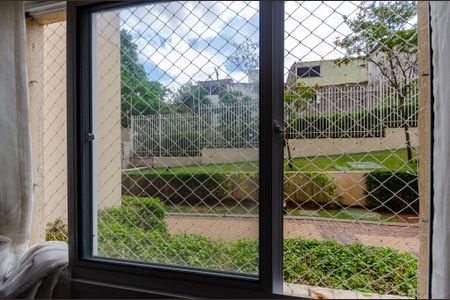 Sala - Janela de apartamento para alugar com 2 quartos, 42m² em Vila Zat, São Paulo