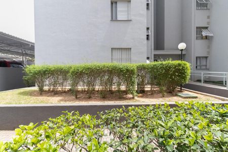 Apartamento à venda com 53m², 2 quartos e 1 vagaVista Quarto 1